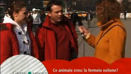 Emisiune TVR 1 martie Emisiune TVR 1 martie