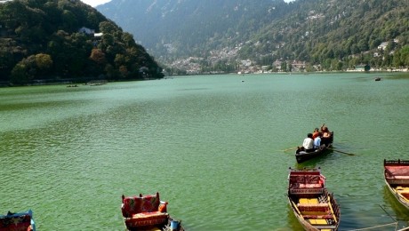 Lacul indian Naini, repopulat cu pesti Lacul indian Naini, repopulat cu pesti