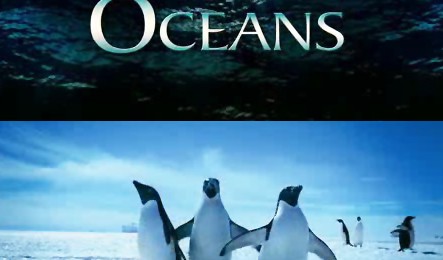 “Oceans”, continuarea filmului Disney “Earth” “Oceans”, continuarea filmului Disney “Earth”
