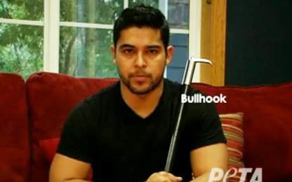 Wilmer Valderrama pledeaza pentru drepturile animalelor de la circ Wilmer Valderrama pledeaza pentru drepturile animalelor de la circ