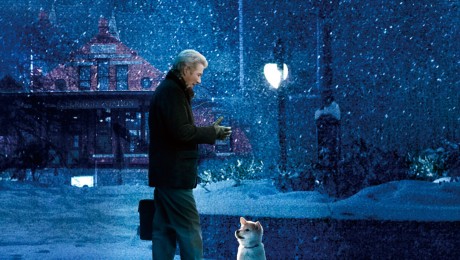Richard Gere, intr-un film despre loialitatea unui catel Richard Gere, intr-un film despre loialitatea unui catel