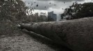 Publicitate pentru biodiversitate – campania Comisiei Europene