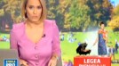Legea Picnicului la ProTV