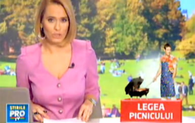 Legea Picnicului la ProTV Legea Picnicului la ProTV
