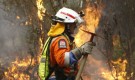 Top 10 mituri despre investitii “verzi” si schimbari climatice