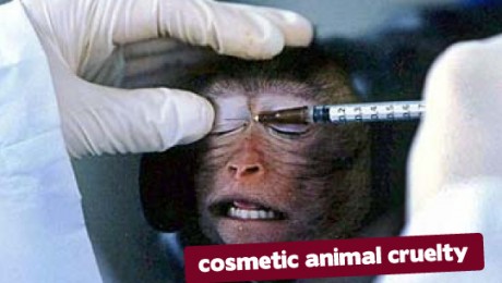 Interdictia comercializarii produselor cosmetice testate pe animale a intrat in vigoare Interdictia comercializarii produselor cosmetice testate pe animale a intrat in vigoare
