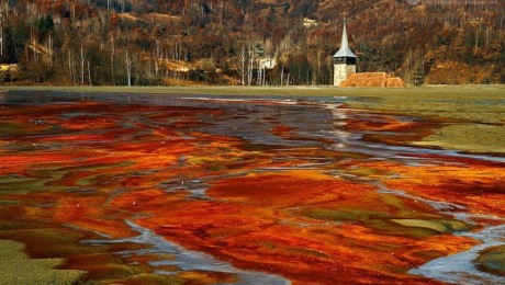 Atentie la Rosia Montana! Priviti exploatarea miniera de la Rosia Poieni! Atentie la Rosia Montana! Priviti exploatarea miniera de la Rosia Poieni!