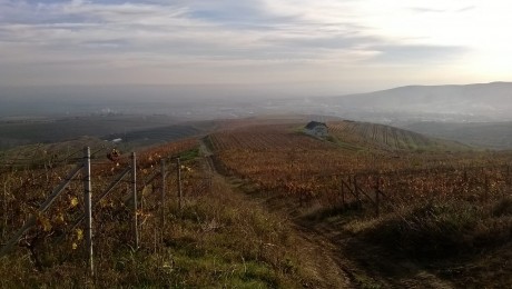 Cicloturism: Peste 5.000 de biciclisti ar putea vizita anual zona Urlati – Dealu Mare Cicloturism: Peste 5.000 de biciclisti ar putea vizita anual zona Urlati – Dealu Mare
