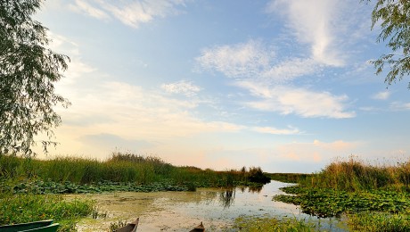 Delta Dunării revine în atenția presei internaționale de călătorii Delta Dunării revine în atenția presei internaționale de călătorii