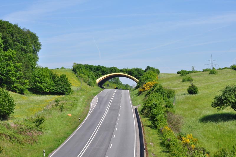 b38-birkenau-germany-animal-bridge-wildlife-crossing-overpass