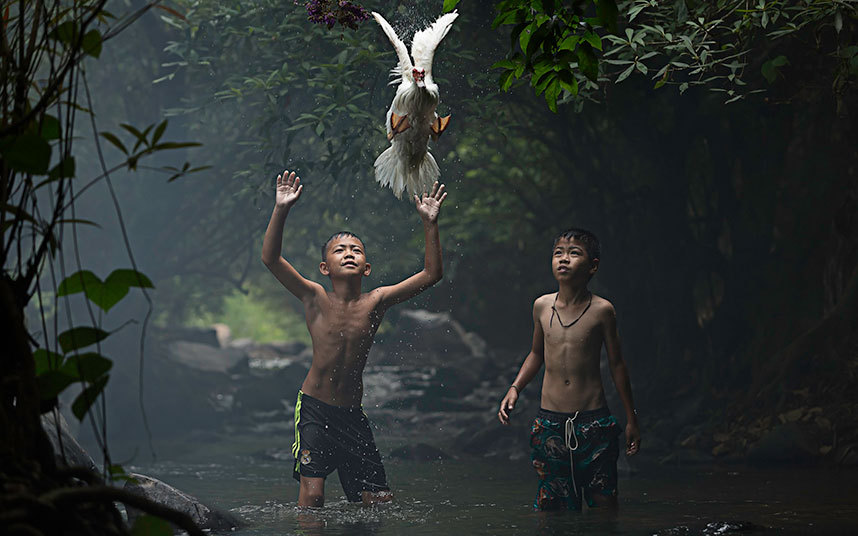 Catching_a_Duck_3396265k