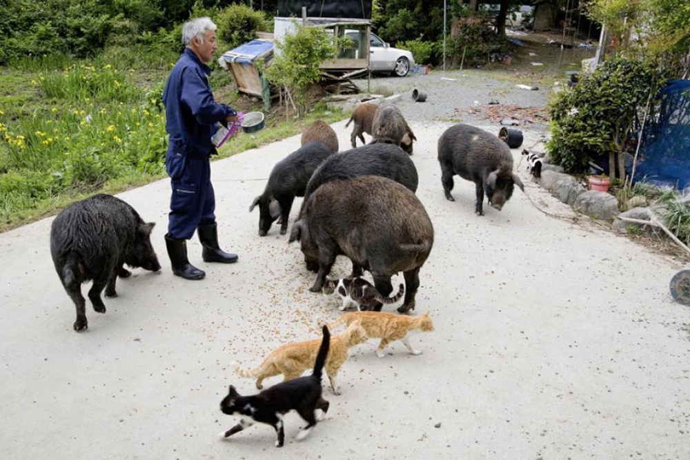 fukushima1