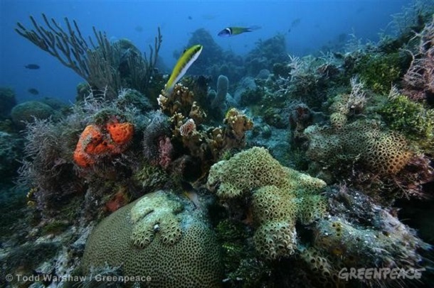 oxigen ocean