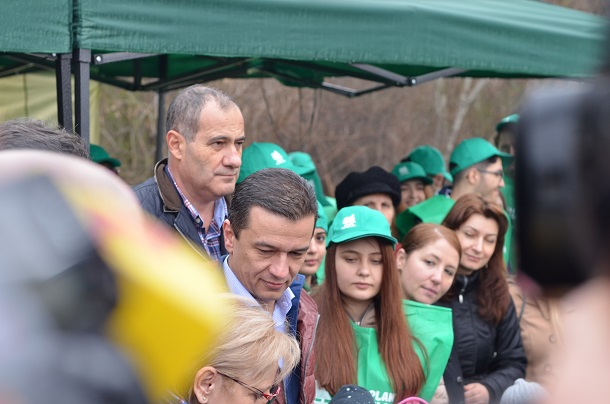 plantare copaci