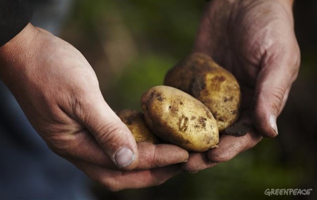 agricultură ecologică greenpeace.org