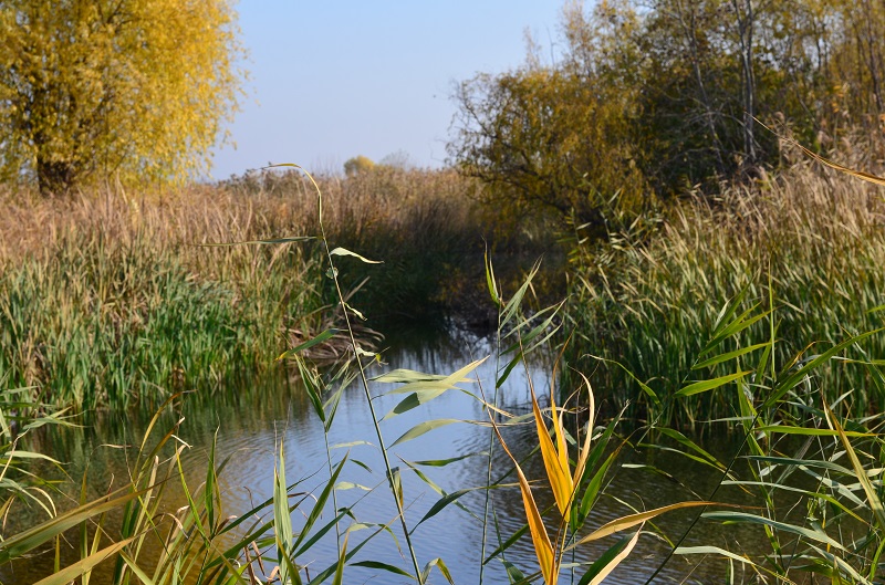 parc natural