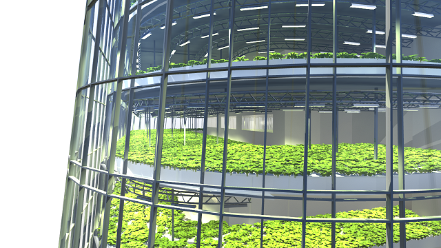 agricultura verticala