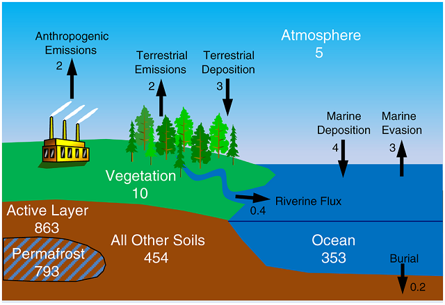 permafrost arctic mercur
